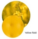 Coloris PAD: yellow field